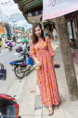 穆桂英之十二寡妇征西